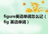 figure英语单词怎么记（fig 英语单词）