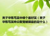 黄子华栋笃笑中哪个最好笑（黄子华栋笃笑哗众取宠被屏蔽的是什么）
