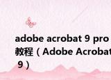 adobe acrobat 9 pro教程（Adobe Acrobat 9）