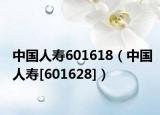 中国人寿601618（中国人寿[601628]）