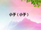 小于（小于）