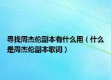 寻找周杰伦副本有什么用（什么是周杰伦副本歌词）