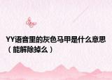 YY语音里的灰色马甲是什么意思（能解除掉么）