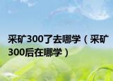 采矿300了去哪学（采矿300后在哪学）