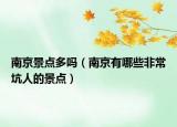南京景点多吗（南京有哪些非常坑人的景点）