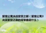 爱情公寓决战紫禁之颠（爱情公寓3决战紫禁之巅的背景曲是什么）