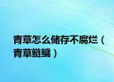 青草怎么储存不腐烂（青草鲢鳙）