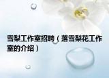 雪梨工作室招聘（落雪梨花工作室的介绍）
