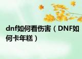 dnf如何看伤害（DNF如何卡年糕）