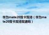 华为mate20双卡双待（华为mate20双卡双待双通吗）