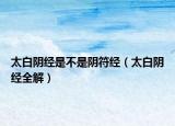 太白阴经是不是阴符经（太白阴经全解）