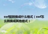 swf能转换成什么格式（swf怎么转换成其他格式）