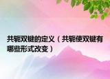 共轭双键的定义（共轭使双键有哪些形式改变）