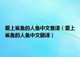 爱上鲨鱼的人鱼中文音译（爱上鲨鱼的人鱼中文翻译）