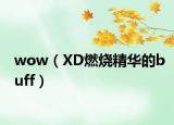 wow（XD燃烧精华的buff）