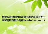 想要长着翅膀的大灰狼的流光系列的关于宝宝的所有番外谢谢deachsina（com）