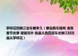 攀枝花到丽江坐车要多久（要最新车程哈 准备春节去耍 谢谢另外 我是从西昌搭车去丽江好还是从攀枝花）