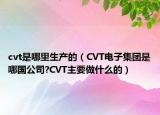 cvt是哪里生产的（CVT电子集团是哪国公司?CVT主要做什么的）