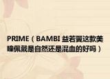 PRIME（BAMBI 益若翼这款美瞳佩戴是自然还是混血的好吗）