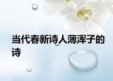 当代春新诗人薄浑子的诗