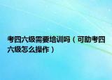 考四六级需要培训吗（可助考四六级怎么操作）