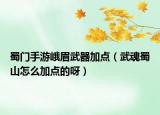 蜀门手游峨眉武器加点（武魂蜀山怎么加点的呀）