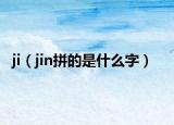 ji（jin拼的是什么字）