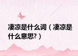 凄凉是什么词（凄凉是什么意思?）