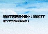 斩魂平民玩哪个职业（斩魂影子哪个职业技能最炫）