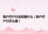 账户开户行名称是什么（账户开户行怎么查）