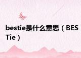 bestie是什么意思（BESTie）