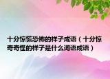 十分惊慌恐怖的样子成语（十分惊奇奇怪的样子是什么词语成语）