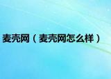 麦壳网（麦壳网怎么样）