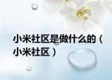 小米社区是做什么的（小米社区）
