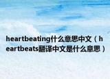 heartbeating什么意思中文（heartbeats翻译中文是什么意思）