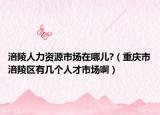 涪陵人力资源市场在哪儿?（重庆市涪陵区有几个人才市场啊）