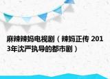 麻辣辣妈电视剧（辣妈正传 2013年沈严执导的都市剧）
