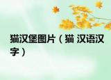 猫汉堡图片（猫 汉语汉字）