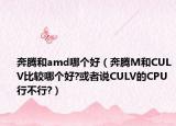奔腾和amd哪个好（奔腾M和CULV比较哪个好?或者说CULV的CPU行不行?）