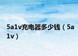 5a1v充电器多少钱（5a1v）