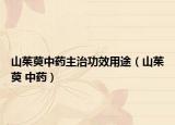 山茱萸中药主治功效用途（山茱萸 中药）