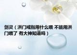 剑灵（洪门戒指用什么喂 不能用洪门喂了 有大神知道吗）