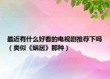 最近有什么好看的电视剧推荐下吗（类似《蜗居》那种）