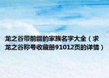 龙之谷带前缀的家族名字大全（求龙之谷称号收藏册91012页的详情）