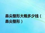 鼻尖整形大概多少钱（鼻尖整形）