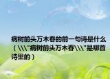 病树前头万木春的前一句诗是什么（\