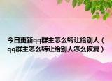 今日更新qq群主怎么转让给别人（qq群主怎么转让给别人怎么恢复）