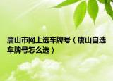 唐山市网上选车牌号（唐山自选车牌号怎么选）