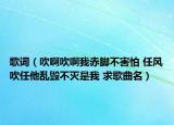 歌词（吹啊吹啊我赤脚不害怕 任风吹任他乱毁不灭是我 求歌曲名）