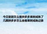今日更新怎么看拼多多果树成熟了几颗拼多多怎么查看果树成熟记录